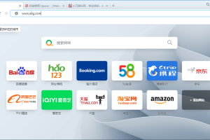 Opera浏览器v114.0.5282.21绿色版