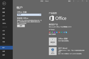 微软Office 2019 24年10月授权版