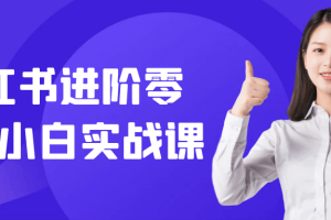 小红书进阶零基础小白实战课