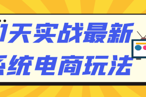 31天实战最新系统电商玩法