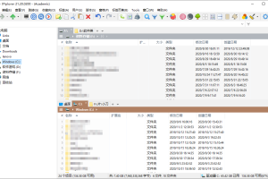 多标签文件管理器XYplorer v28.10.0400绿色便携版