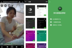 安卓XPlayer播放器 v2.3.6.2 高级版
